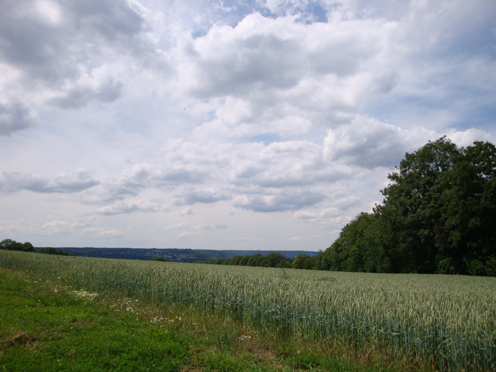 Drachenburg